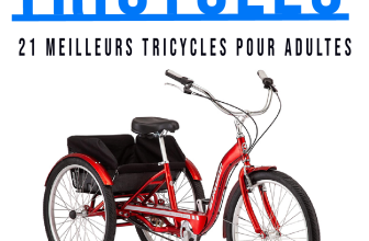 21 meilleurs tricycles pour adultes