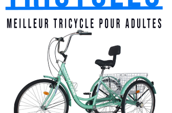 Meilleur Tricycle pour Adultes (Classé et évalué en 2022)
